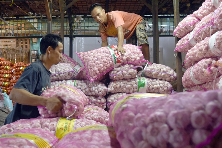 Pedagang menata tumpukan karung bawang putih impor