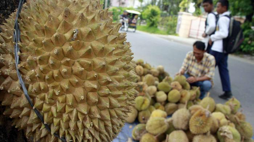 Pedagang durian
