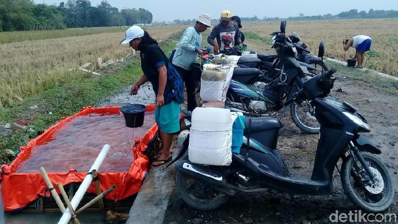 Kesulitan air bersih di Cirebon