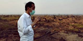 Presiden Jokowi ketika megcek lahan terbakar